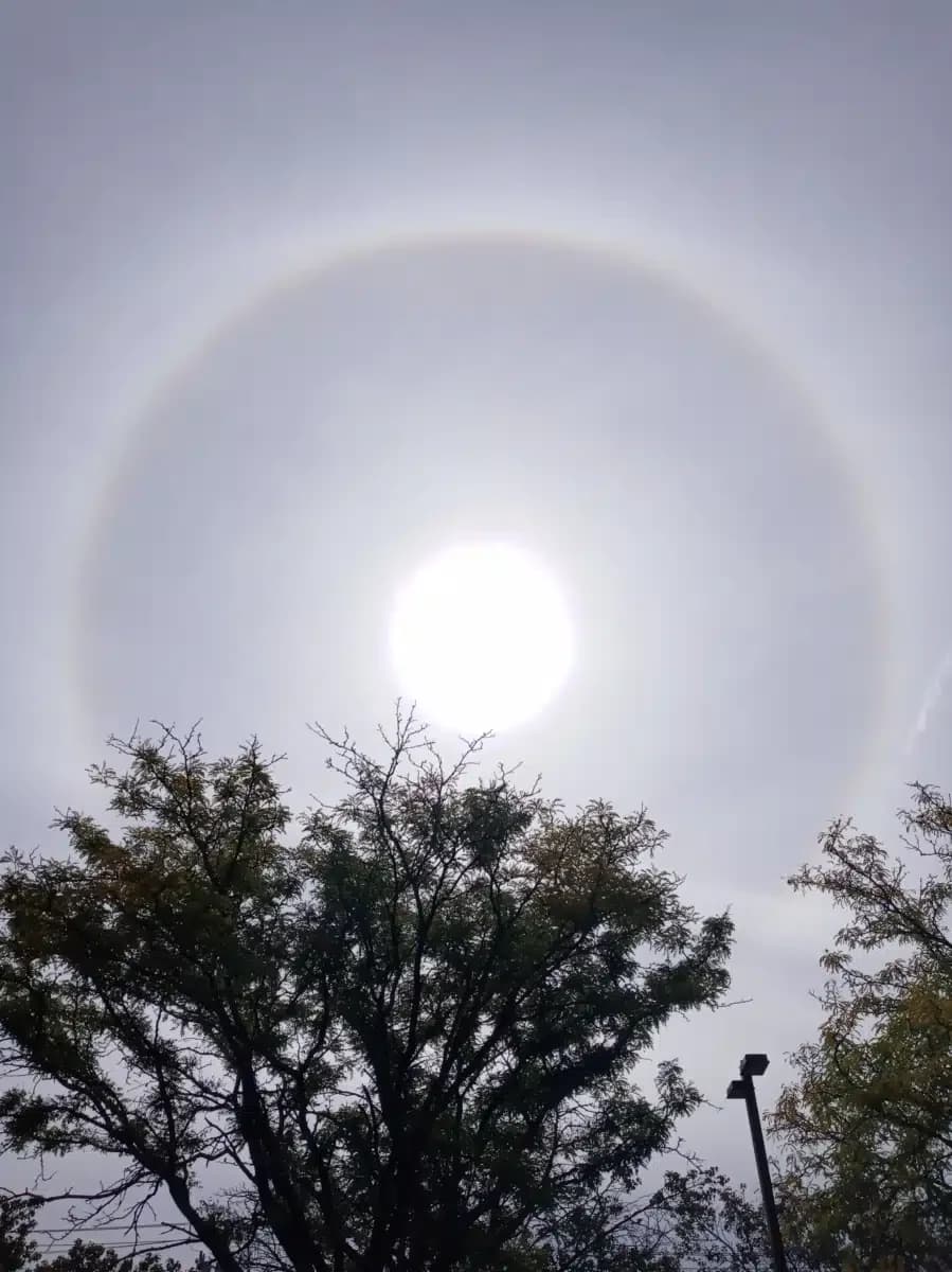 APT Foundation Inc - Thumbnail 2