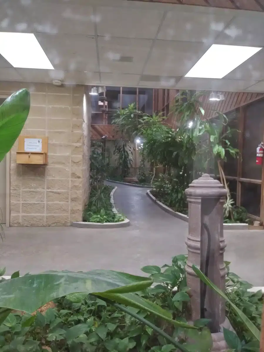 Abilene Betty Hardwick - Thumbnail 3