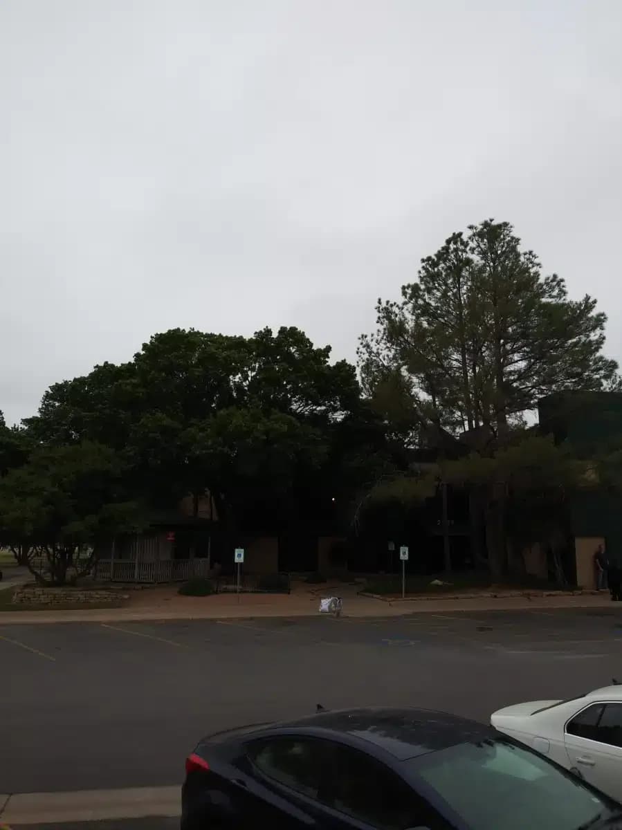 Abilene Betty Hardwick - Thumbnail 6