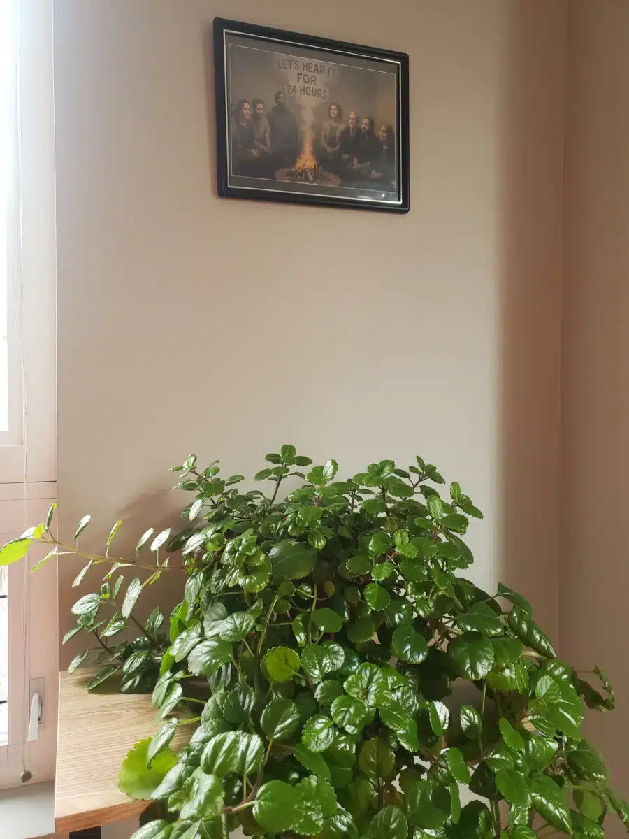 Abria Recovery LLC - Thumbnail 5