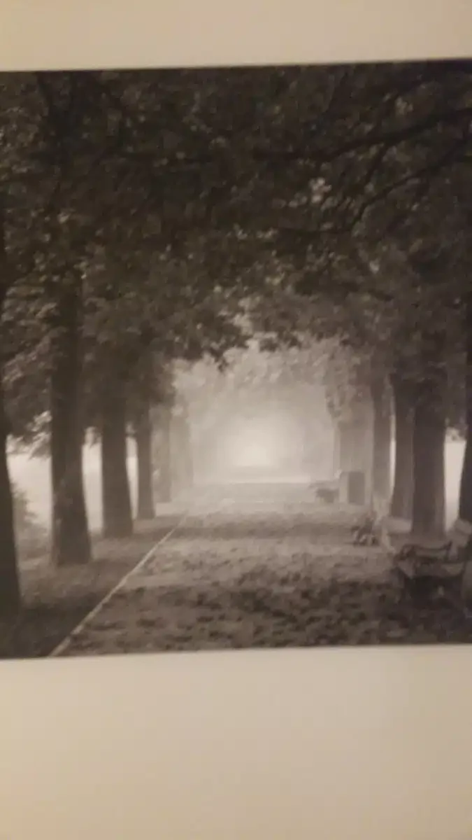 Access Behavioral Associates LLC - Thumbnail 3