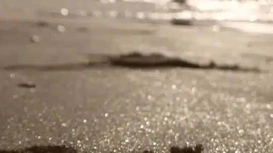 Access Recovery Solutions - Thumbnail 8