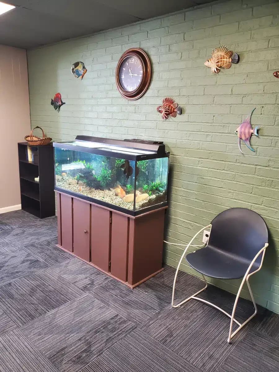 Active Recovery - Thumbnail 3