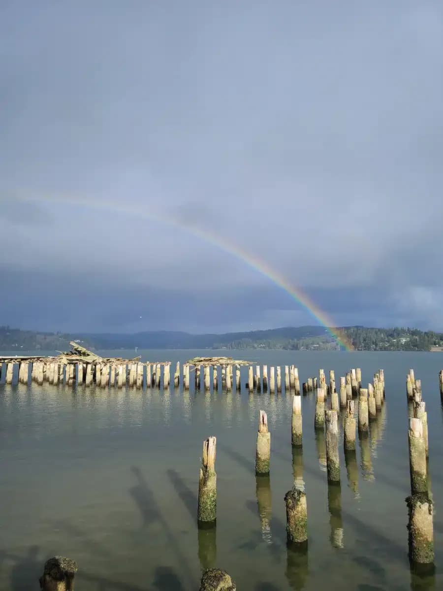 Adapt Integrated Healthcare - Thumbnail 6