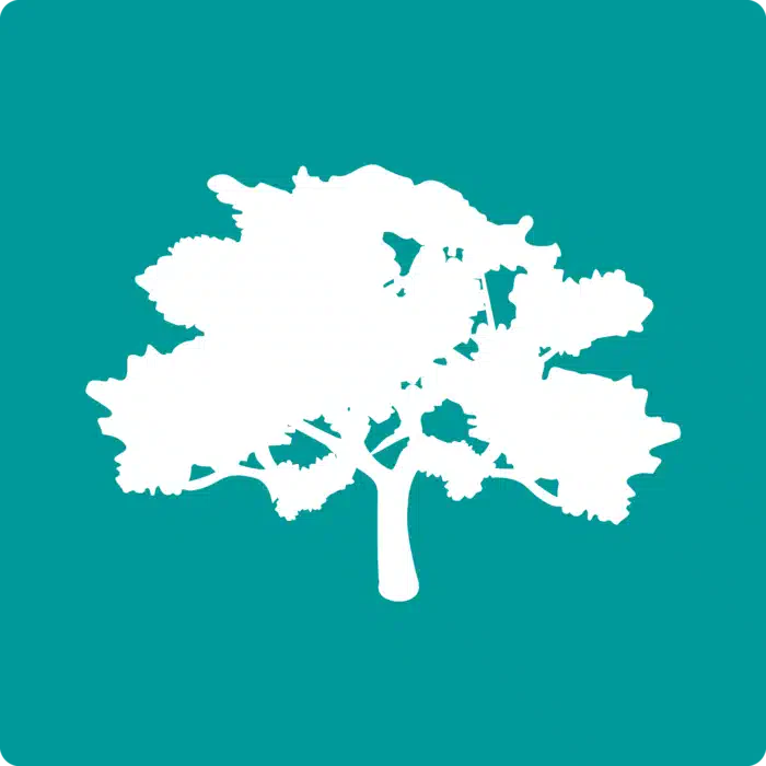 Addiction Alternatives for Opioid - Thumbnail 8