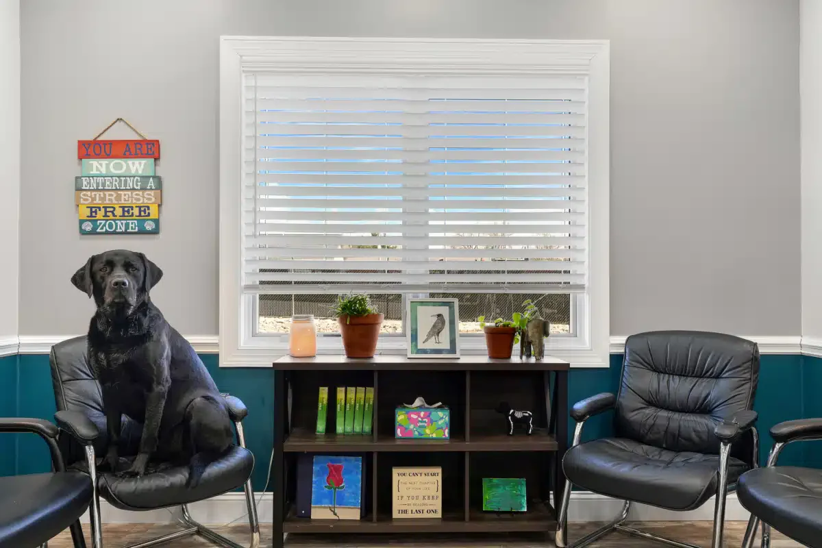 Allendale Treatment - Thumbnail 10