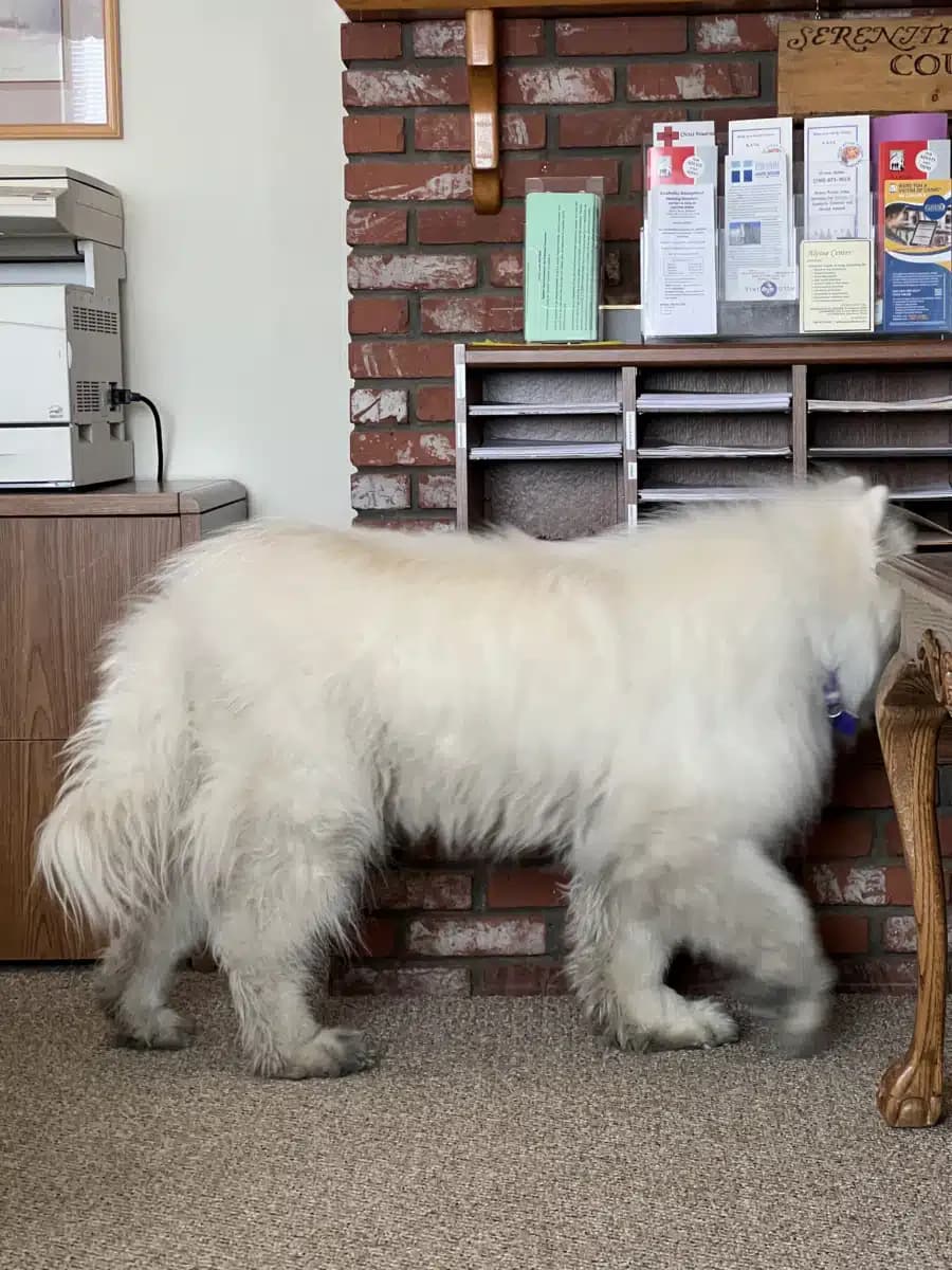 Alpine Recovery Center - Thumbnail 2