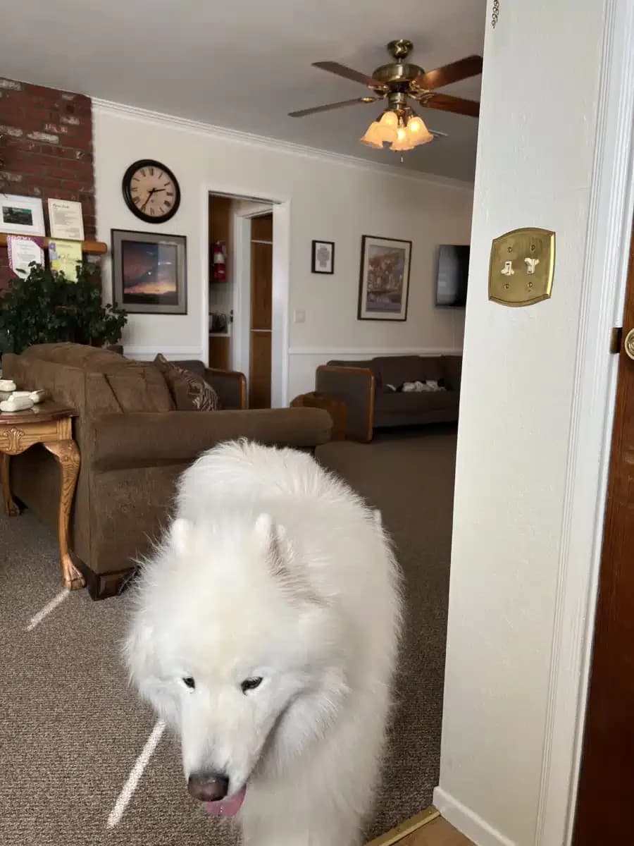 Alpine Recovery Center - Thumbnail 4