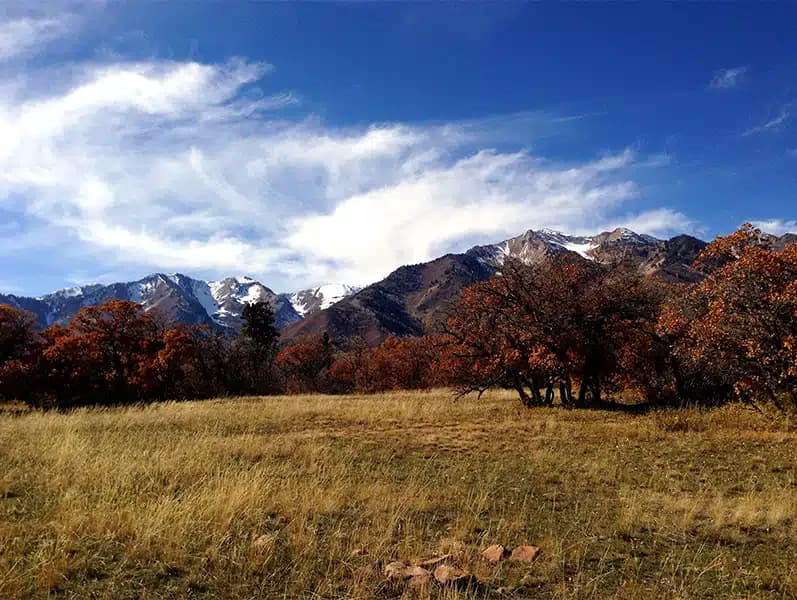 Alpine Recovery Lodge - Thumbnail 10