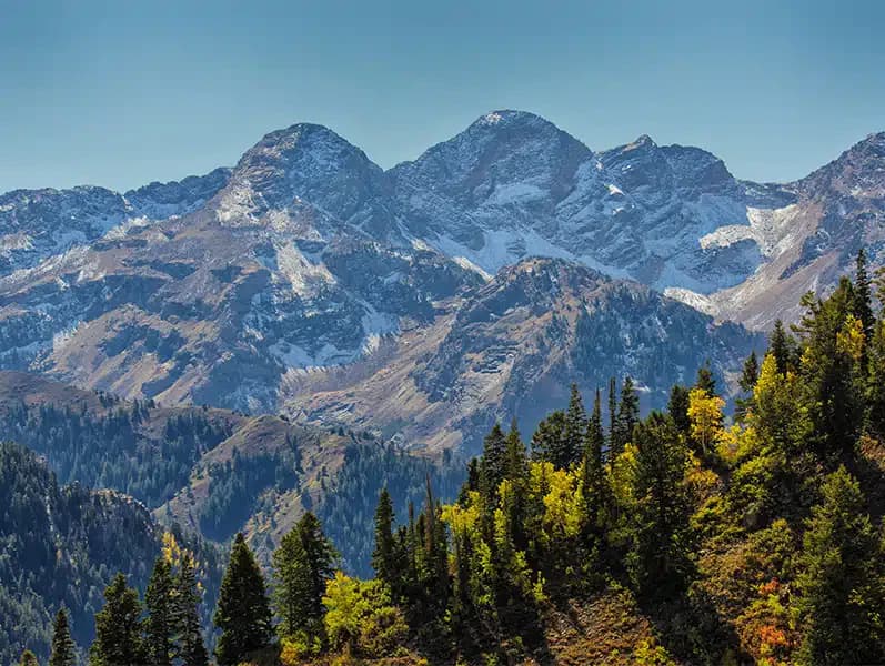 Alpine Recovery Lodge - Thumbnail 8