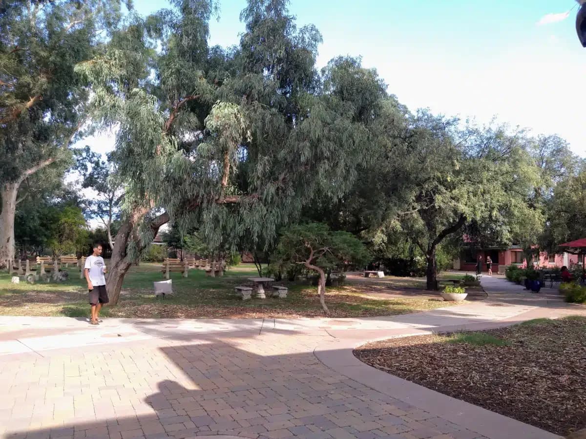 Amity Foundation - Thumbnail 2