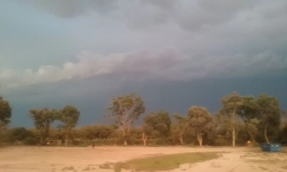 Amity Foundation - Thumbnail 6