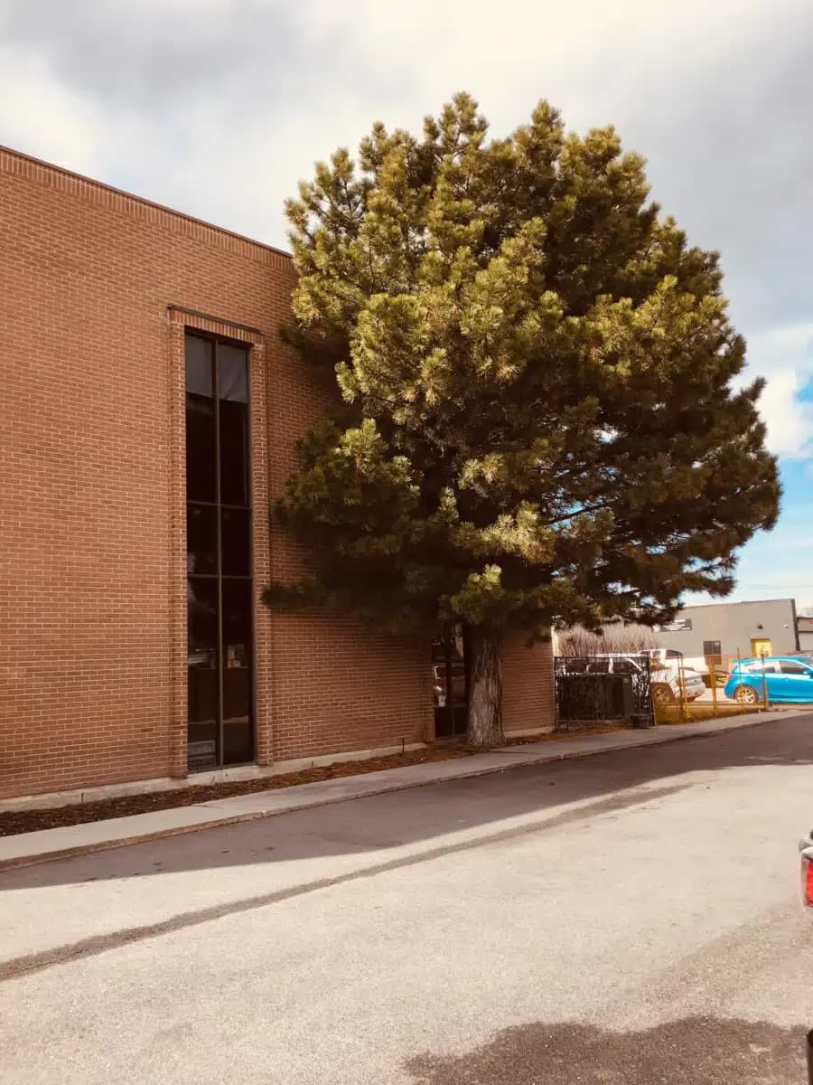 Anicka Counseling Center - Thumbnail 10