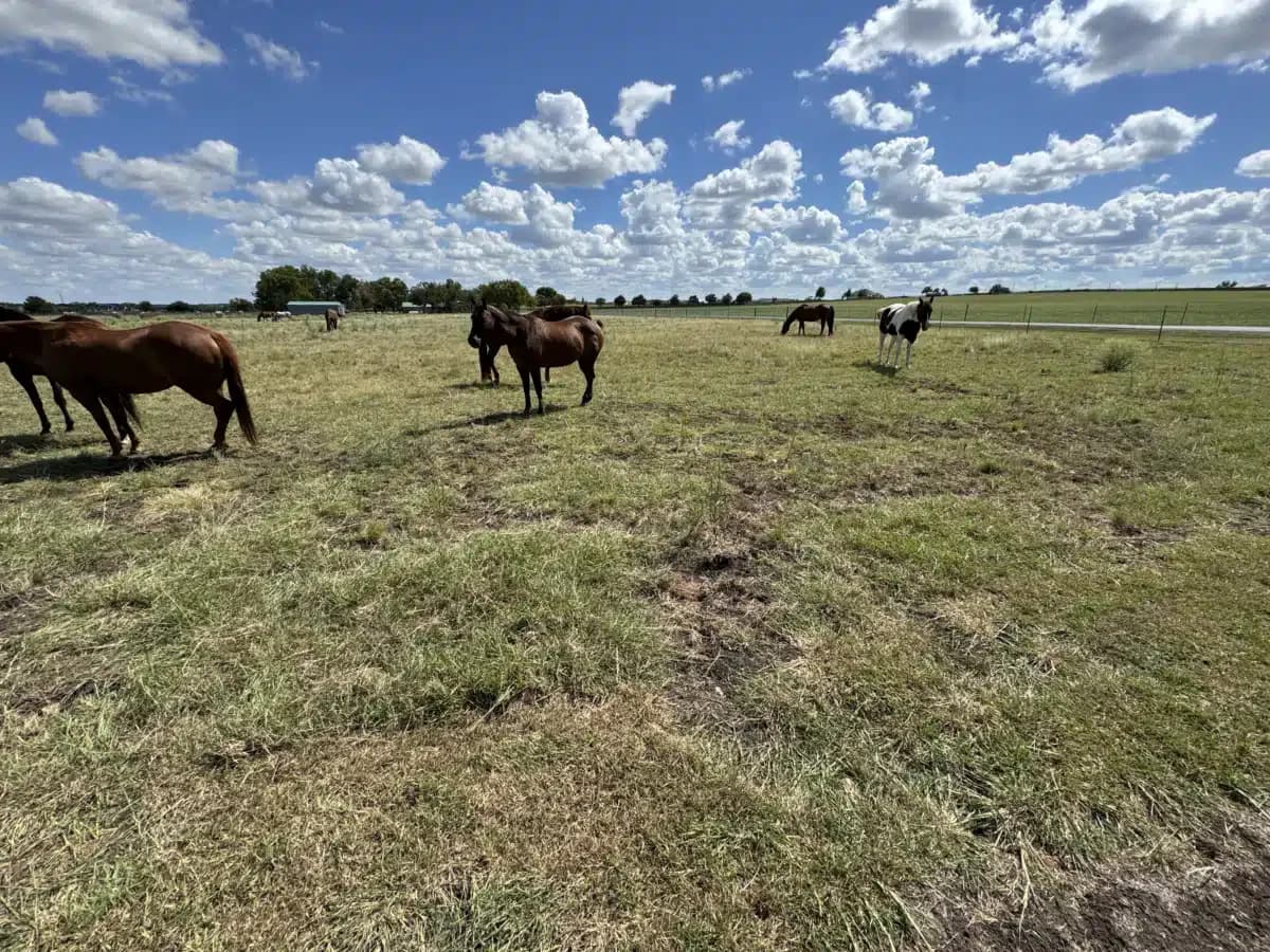 Arbor Behavioral Healthcare - Thumbnail 10