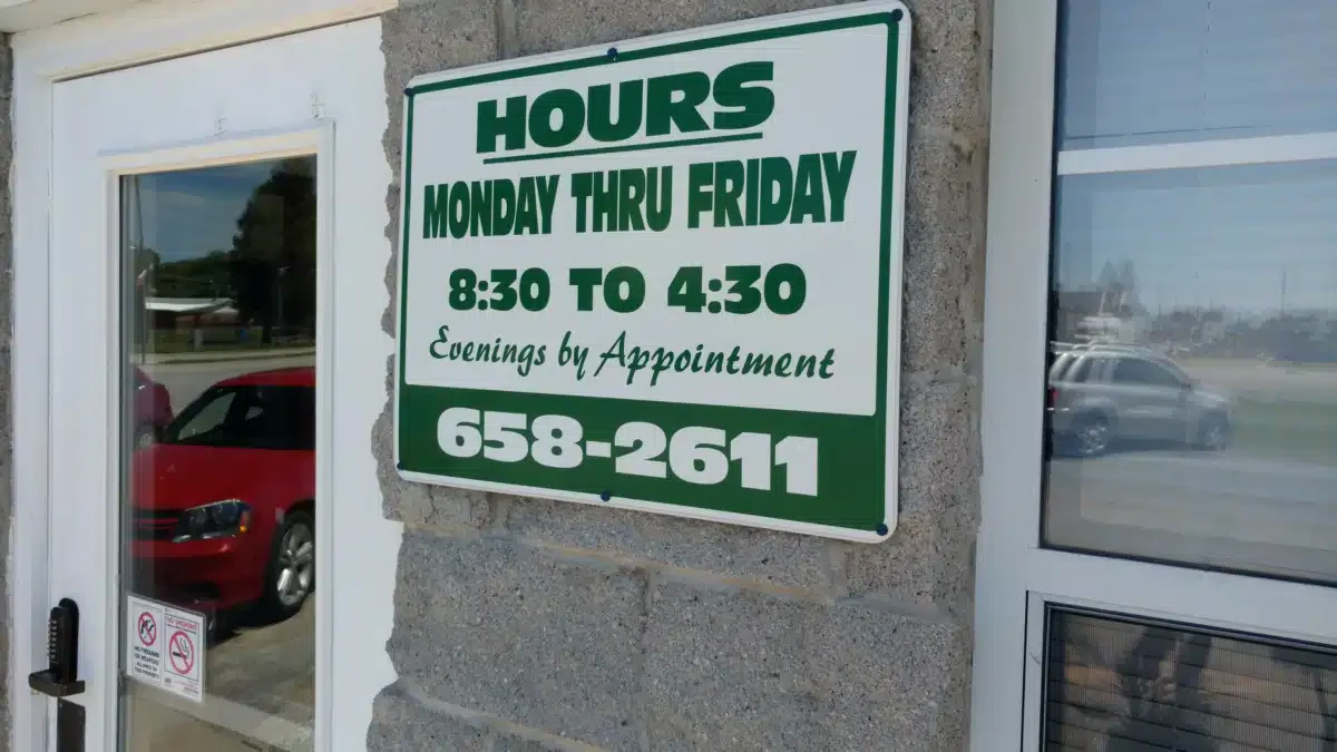 Arrowleaf - Thumbnail 2