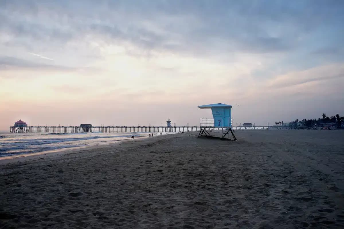 Asana Recovery - Thumbnail 8