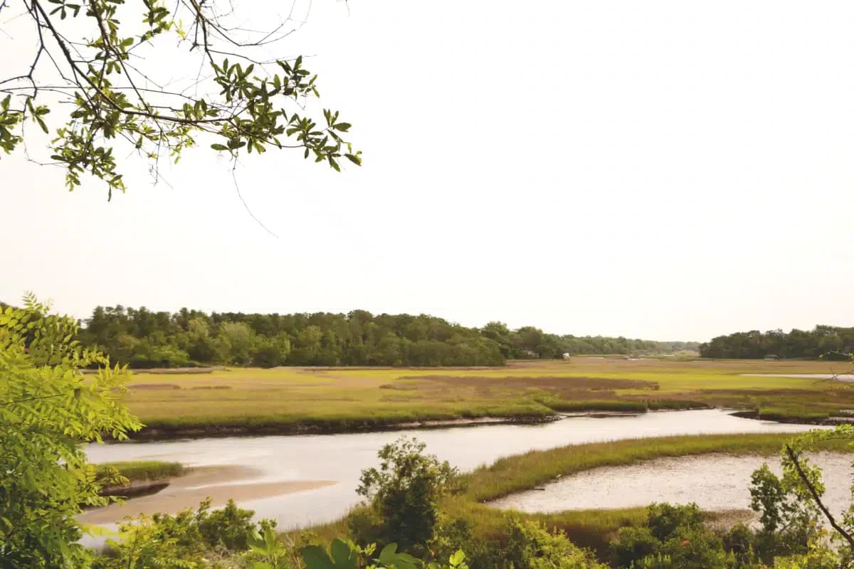 Augustine Recovery Center - Thumbnail 9