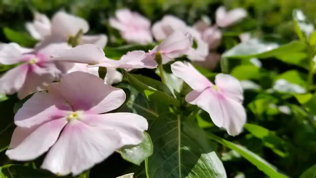 Awakenings KC - Thumbnail 8