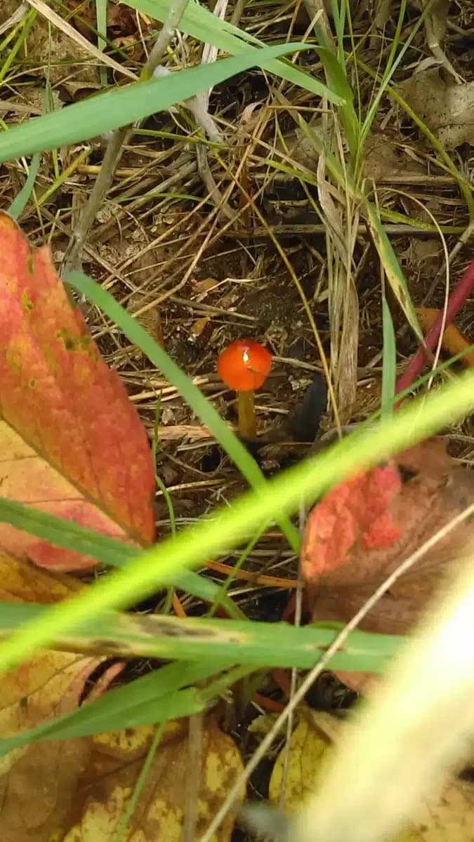 BHG Brainerd Treatment Center