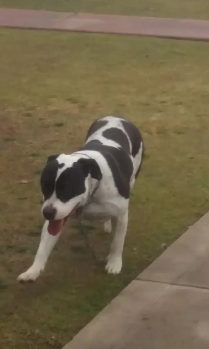 Bakersfield Recovery Services - Thumbnail 8