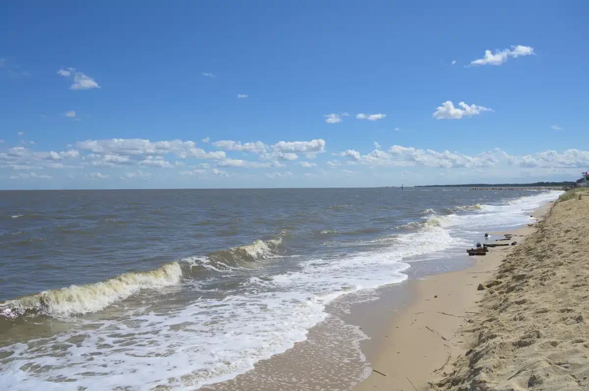 Banyan Delaware - Thumbnail 9