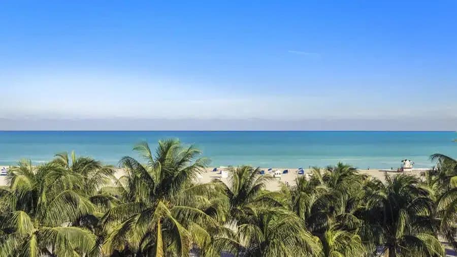 Beaches Recovery Services