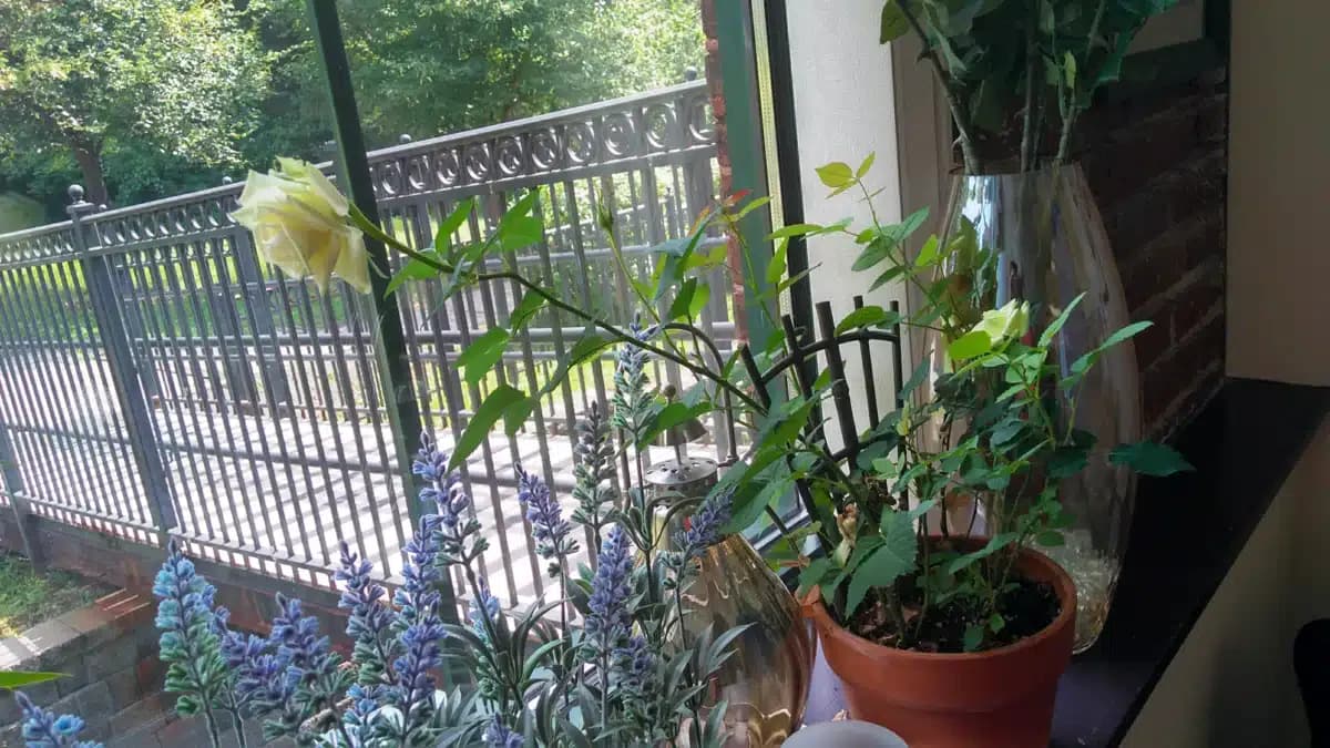 Behavioral Health Network (BHN) - Thumbnail 3