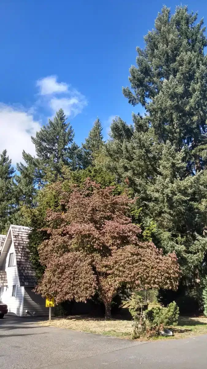 Behavioral Health Resources - Thumbnail 2