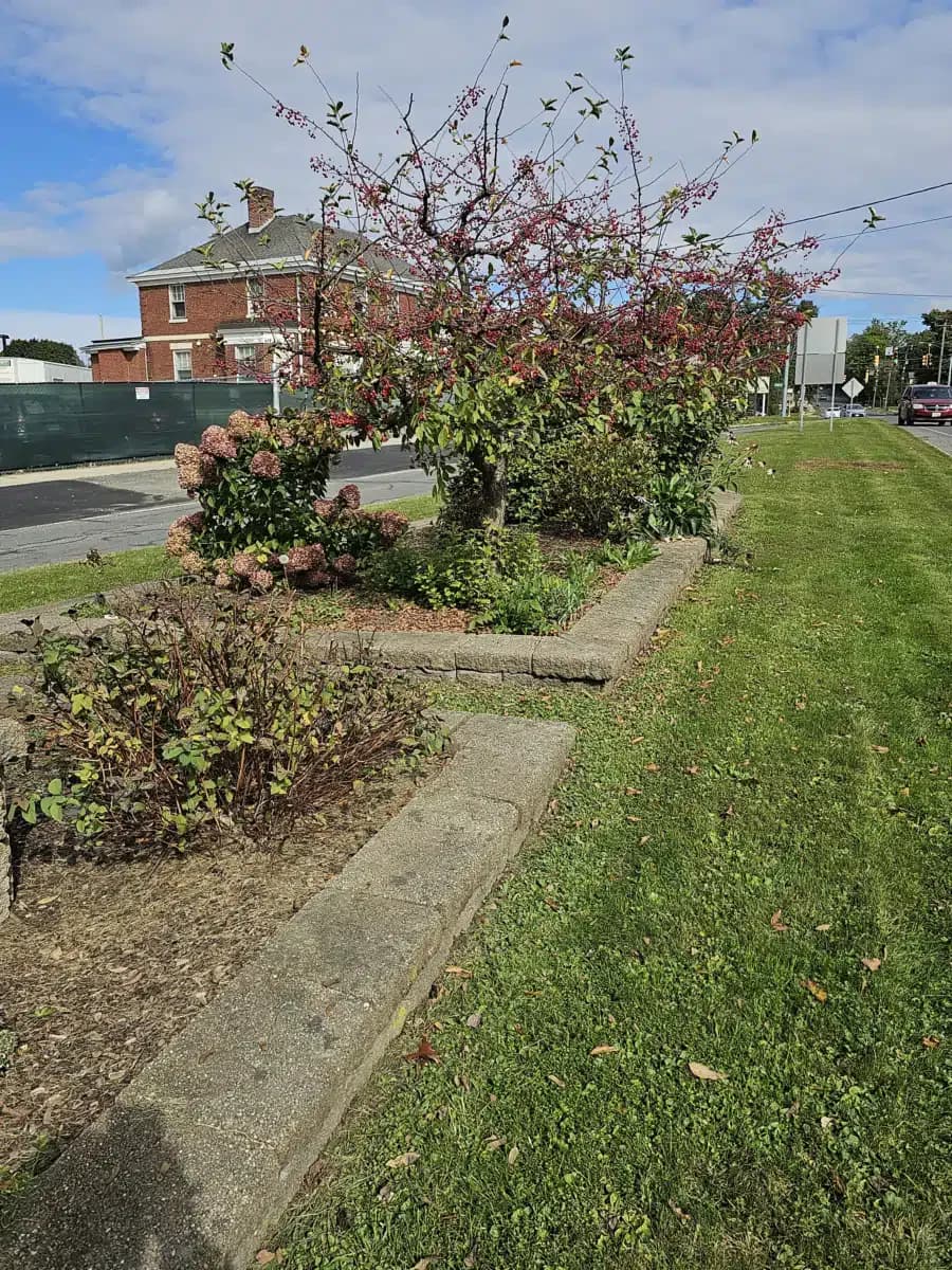 Berkshire Medical Center - Thumbnail 4