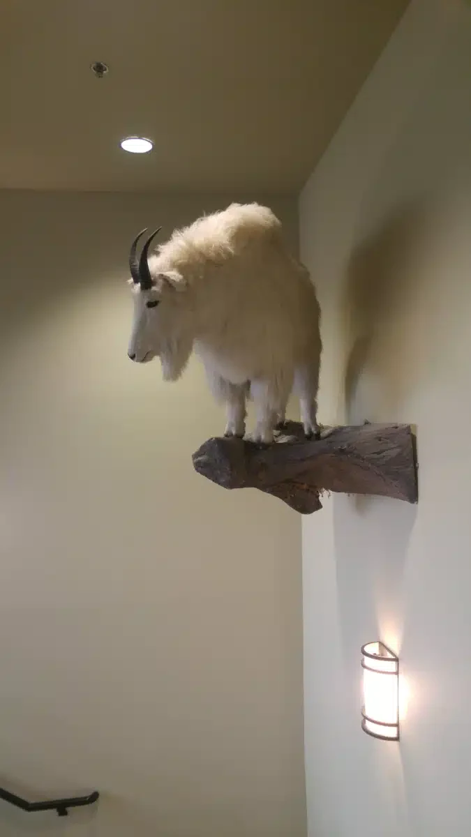 BestCare Treatment Services - Thumbnail 2