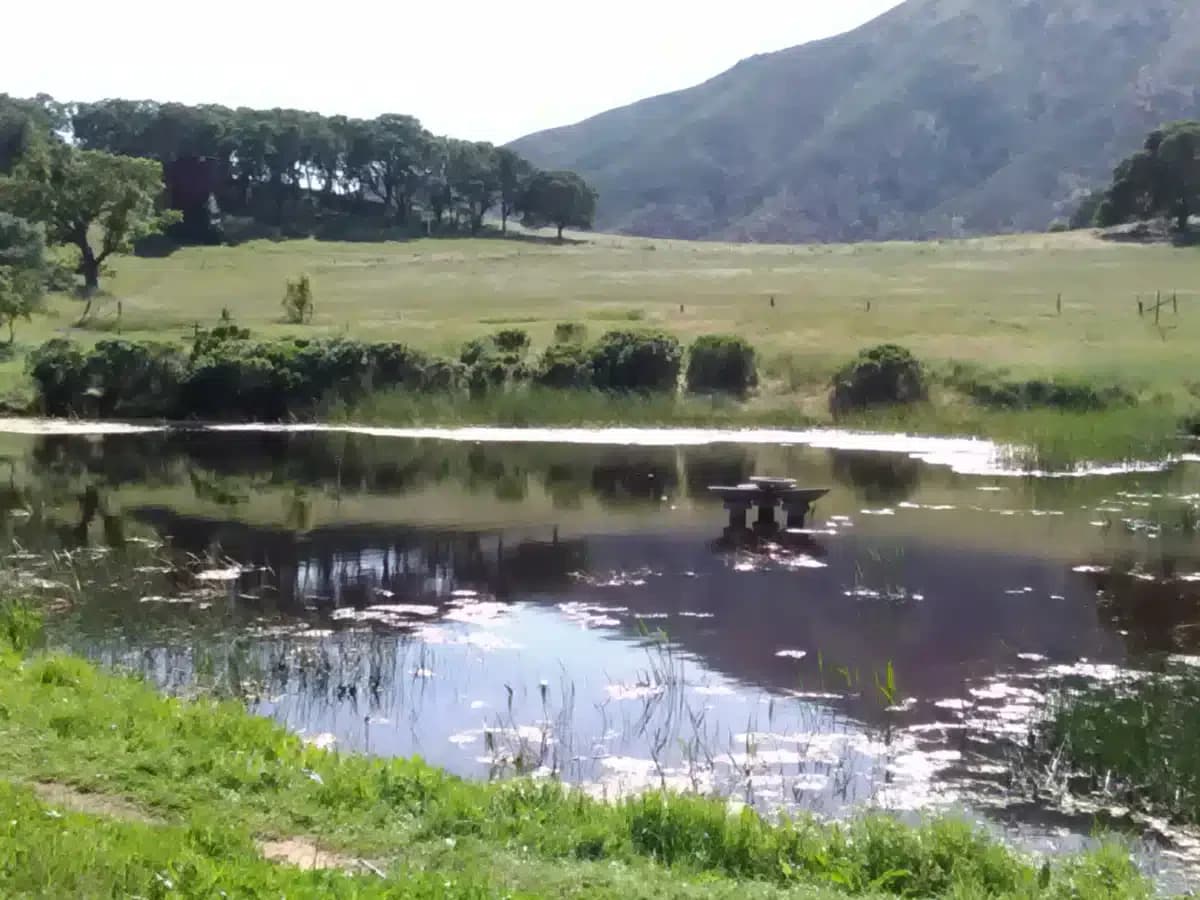 Bi Bett Corp - Thumbnail 4