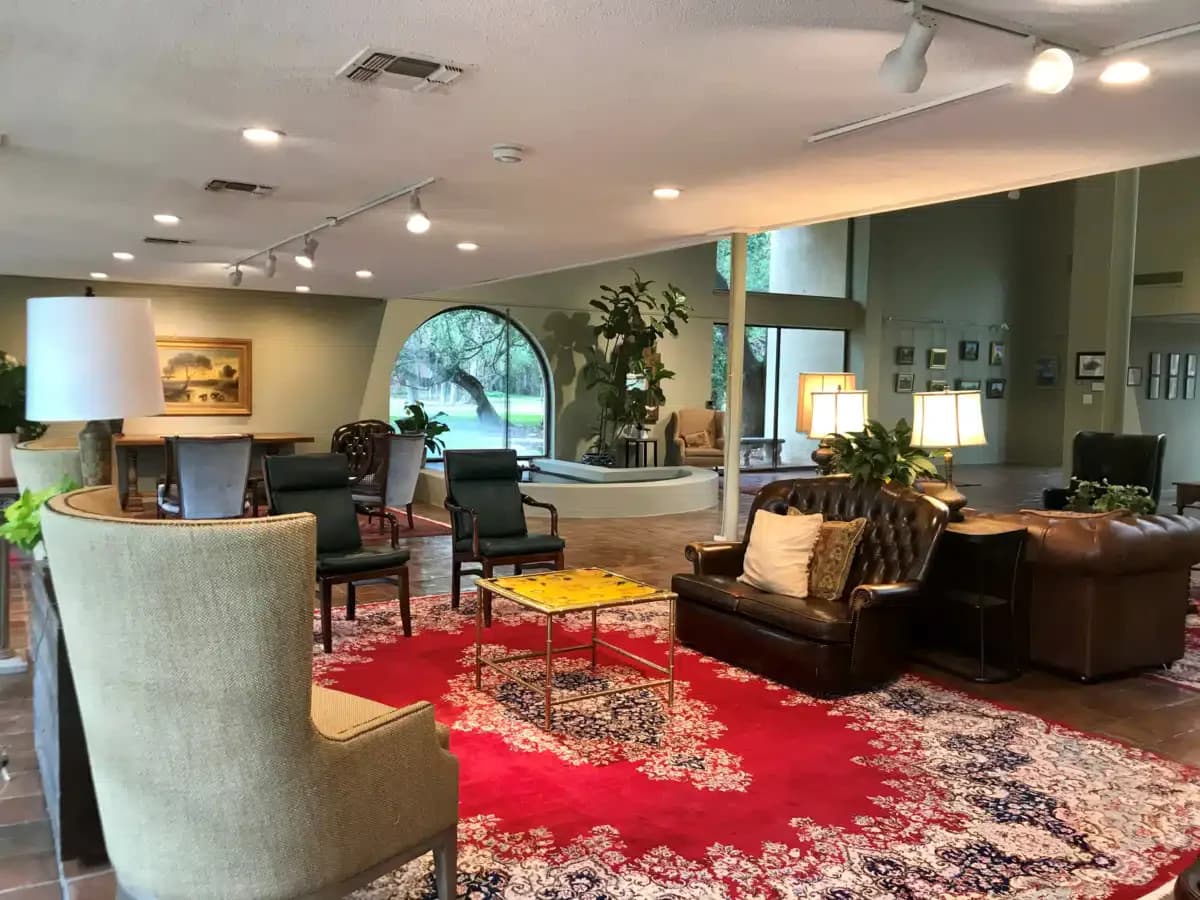 Blue Heron Recovery - Thumbnail 4