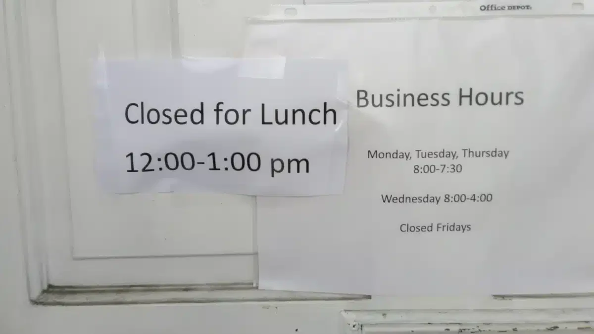 Bridge Inc - Thumbnail 2