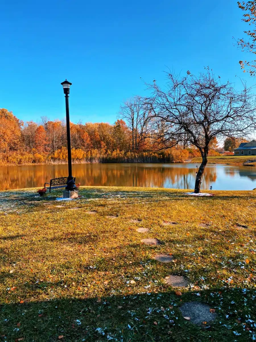 Bridges of Hope - Thumbnail 3