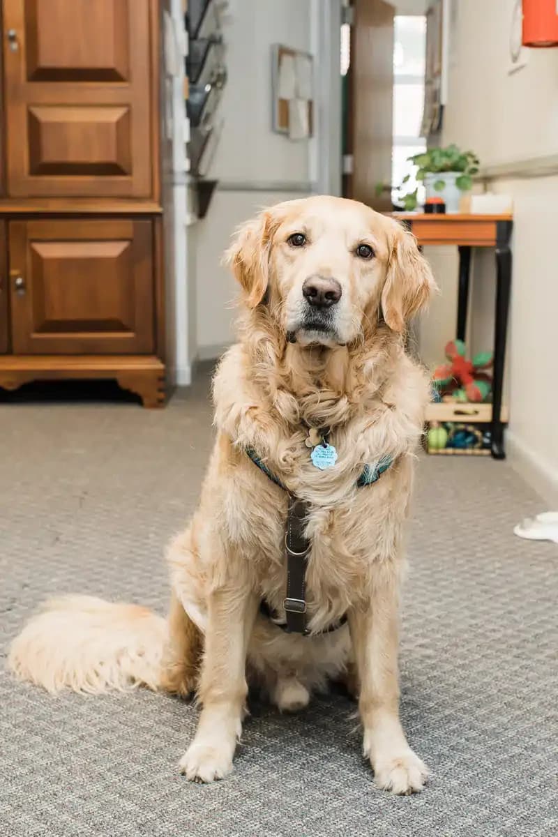 Bridging the Gaps Inc - Thumbnail 8