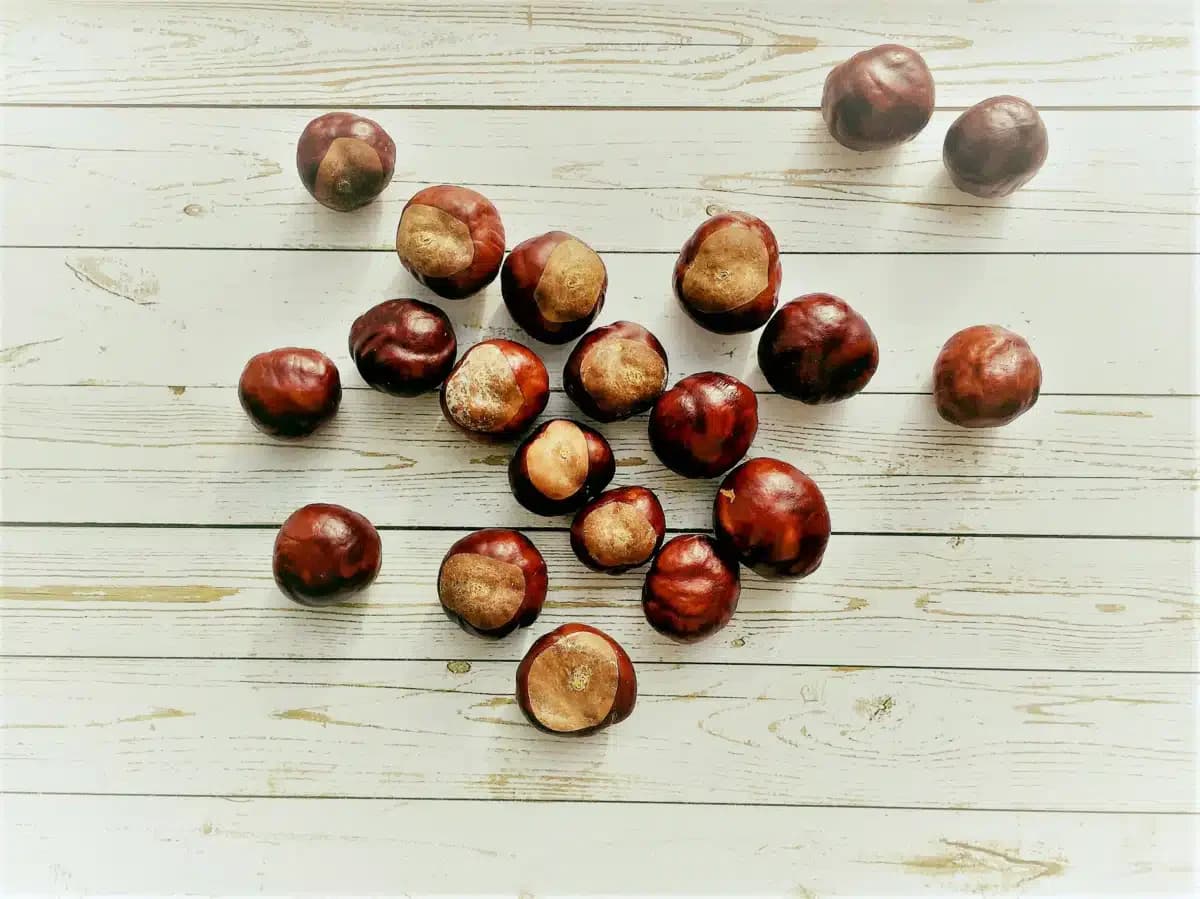 Buckeye Recovery Network - Thumbnail 3