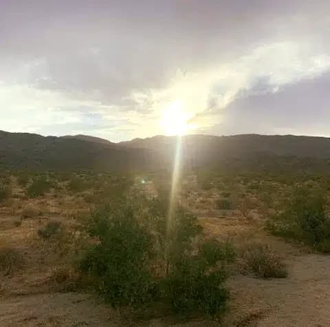 Buckeye Recovery Network - Thumbnail 7