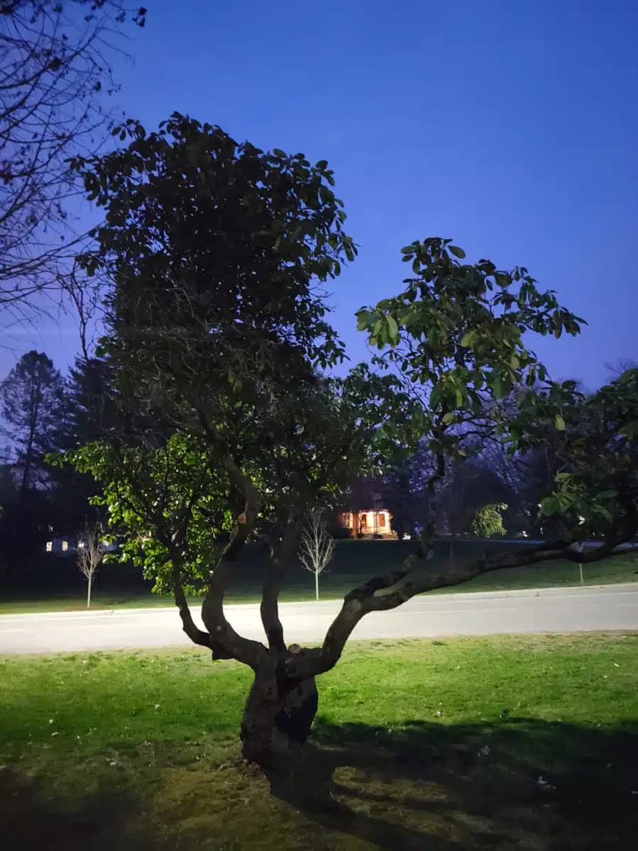 Butler Hospital - Thumbnail 4