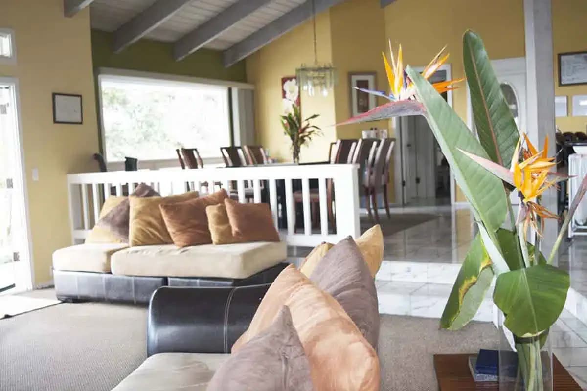 CARE Hawaii Inc - Thumbnail 3