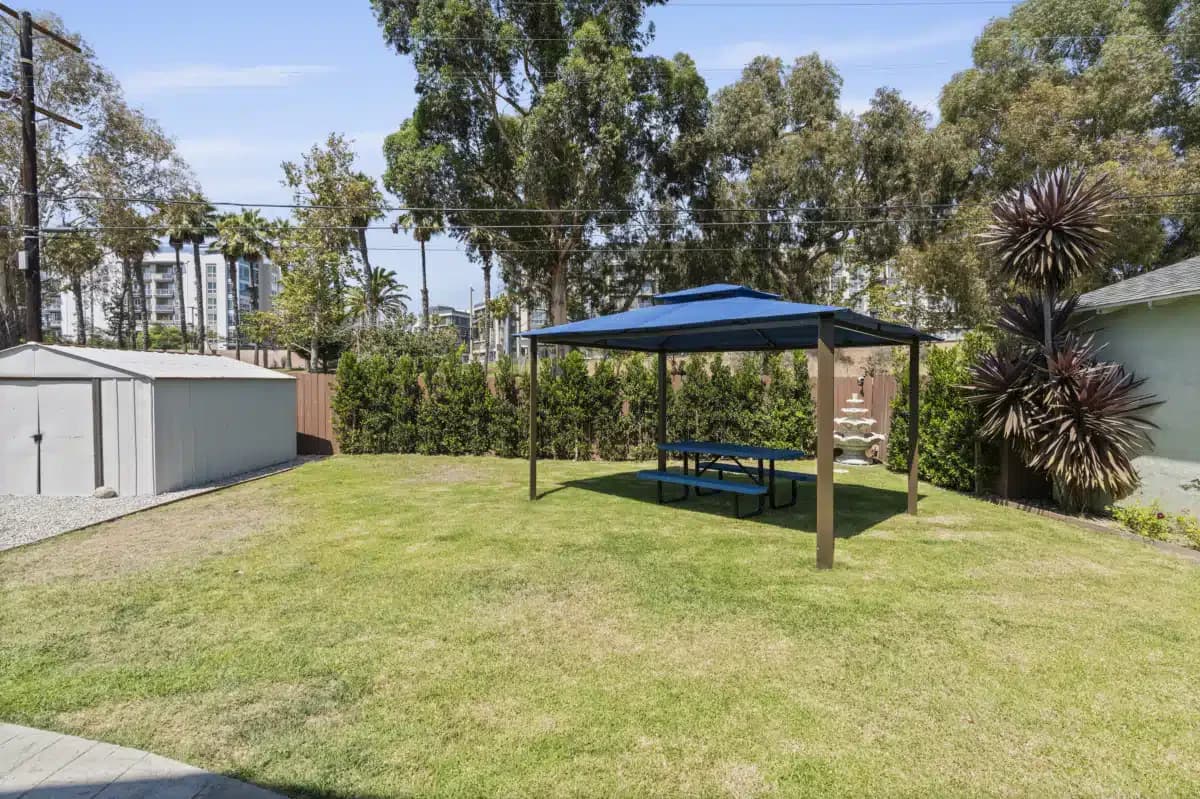 CNV Detox Inc - Thumbnail 6