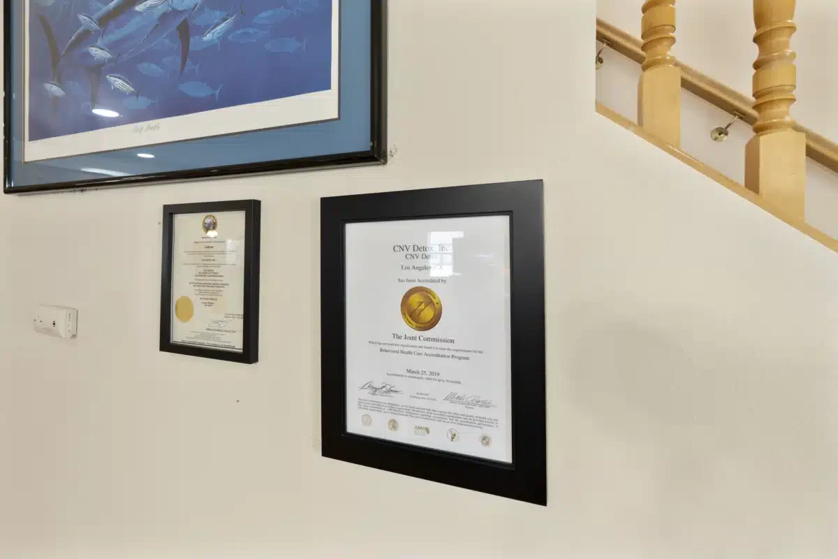 CNV Detox Inc - Thumbnail 9