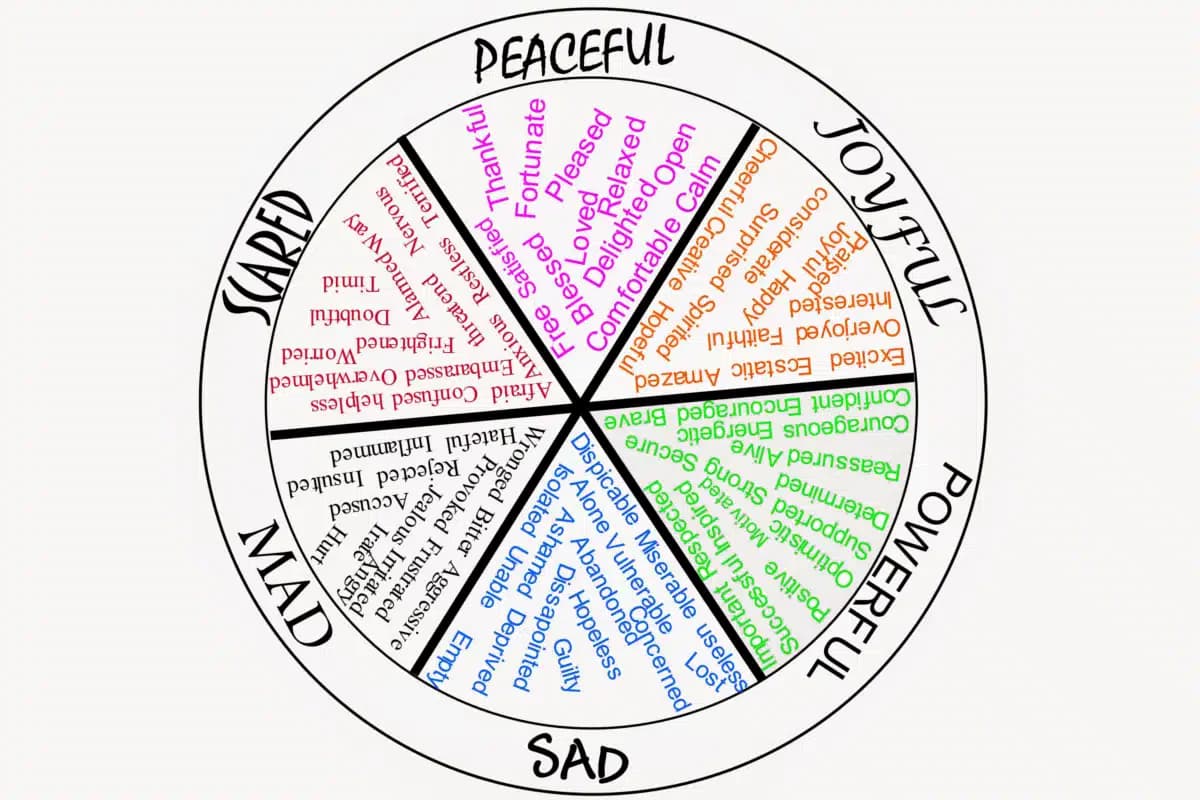 Calm Center - Thumbnail 8