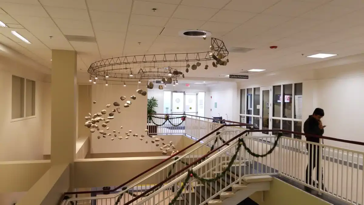 Carolina Performance - Thumbnail 4