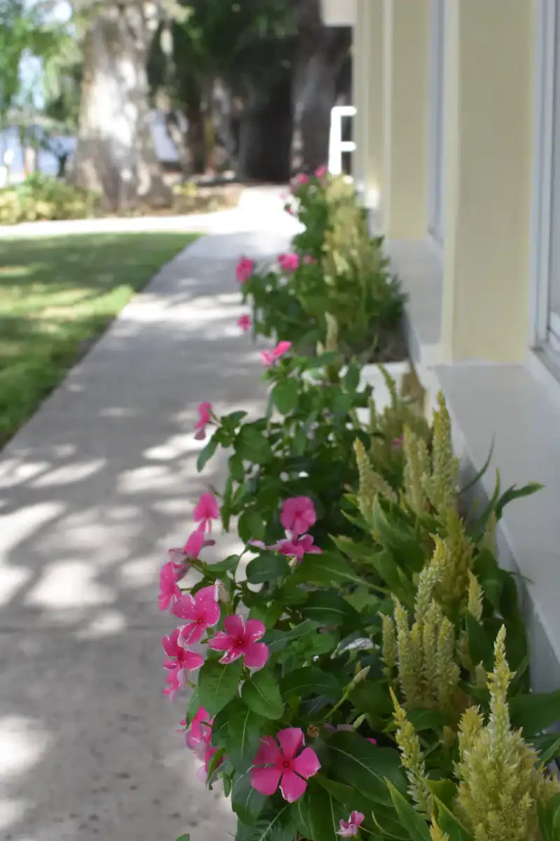 Celadon Recovery Center - Thumbnail 10