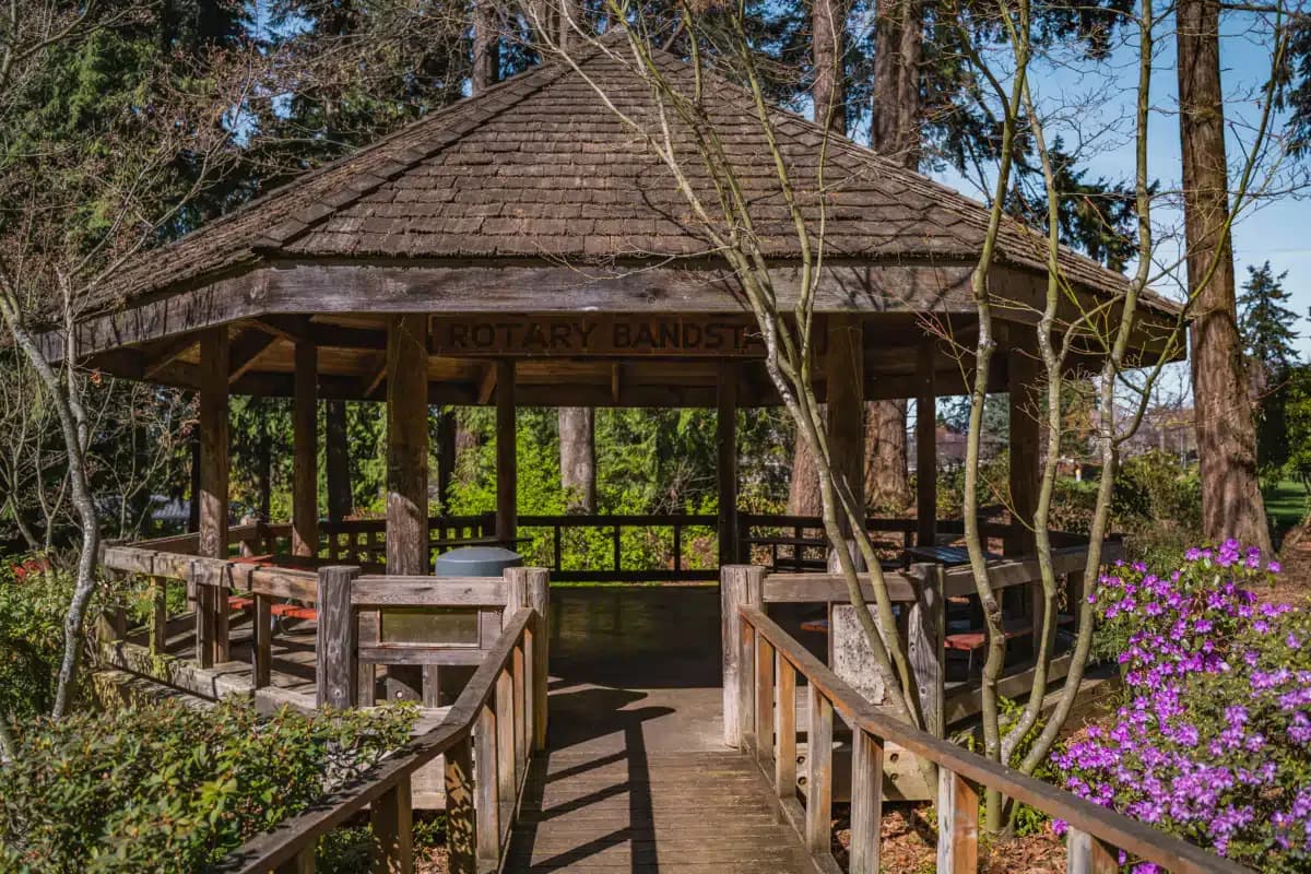 Center - Thumbnail 8