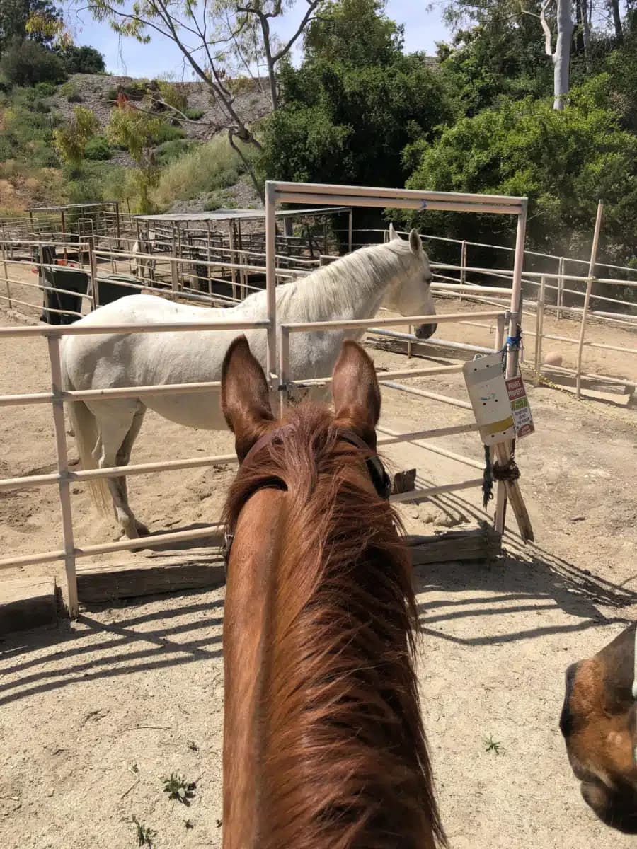 Clean Treatment Center - Thumbnail 7