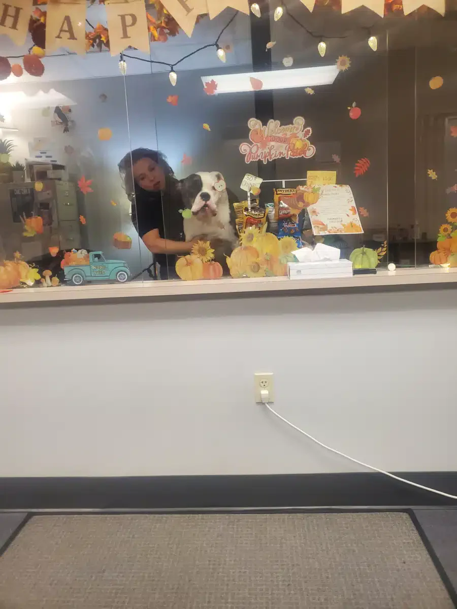 Clinical Outcomes Group Inc