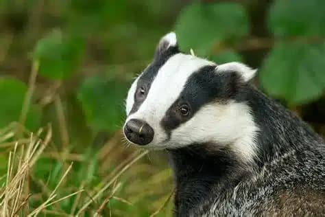 Coleman Professional Services - Thumbnail 3