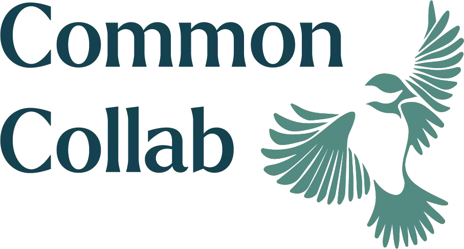 Commonwealth Collaborative - Thumbnail 4