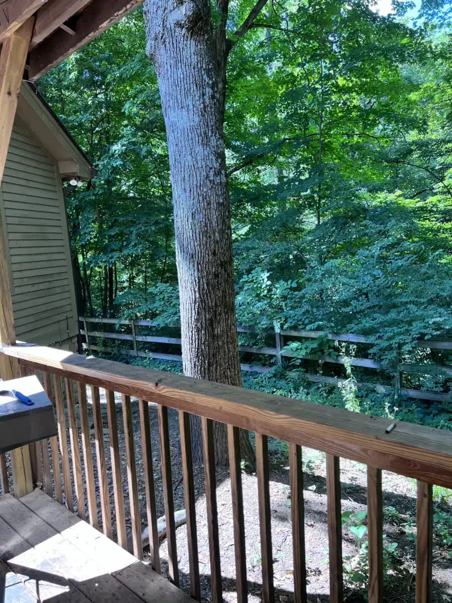 Community Fairbanks - Thumbnail 2